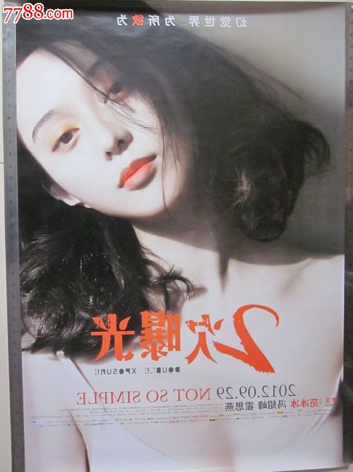 希尔德斯海姆大学 Design degree certificate